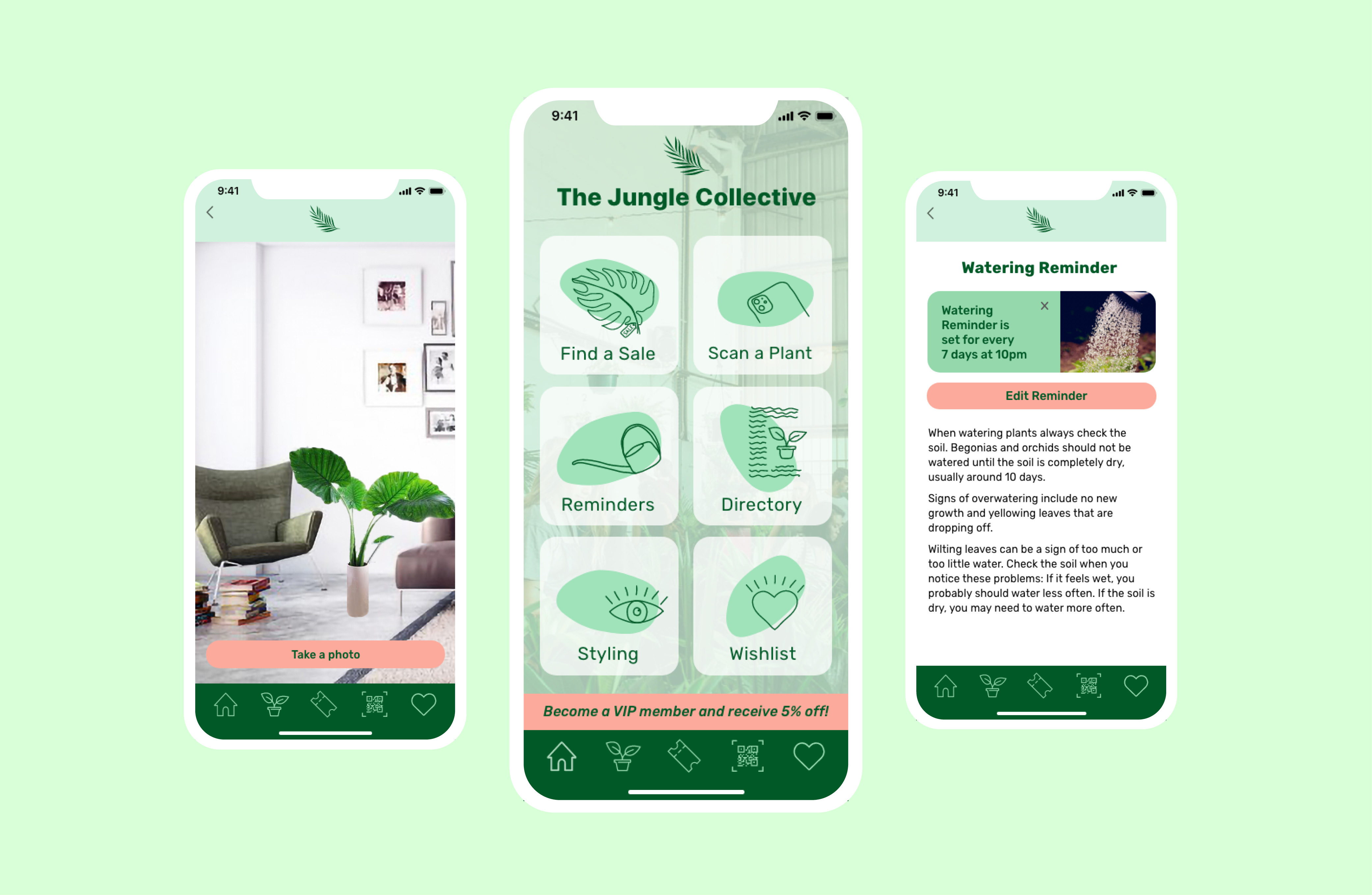 The Jungle Collective Portfolio